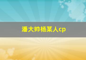 潘大帅杨某人cp