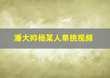 潘大帅杨某人单挑视频