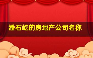 潘石屹的房地产公司名称