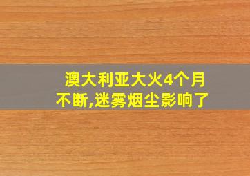 澳大利亚大火4个月不断,迷雾烟尘影响了