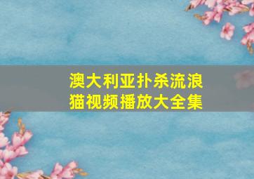 澳大利亚扑杀流浪猫视频播放大全集