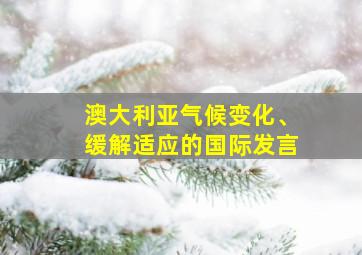 澳大利亚气候变化、缓解适应的国际发言