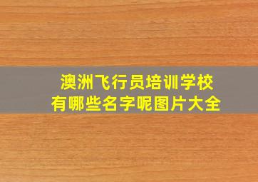 澳洲飞行员培训学校有哪些名字呢图片大全