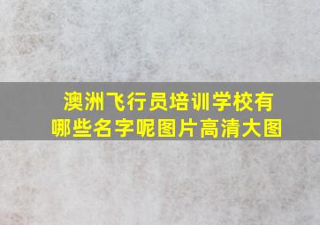 澳洲飞行员培训学校有哪些名字呢图片高清大图