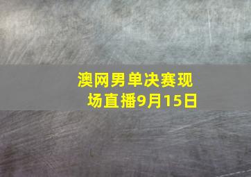 澳网男单决赛现场直播9月15日