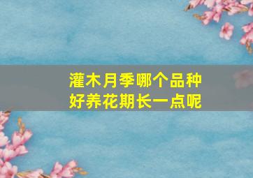 灌木月季哪个品种好养花期长一点呢