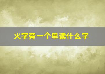 火字旁一个单读什么字