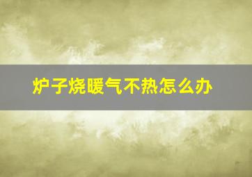 炉子烧暖气不热怎么办