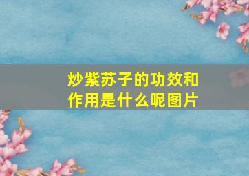 炒紫苏子的功效和作用是什么呢图片