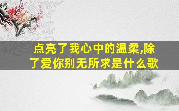 点亮了我心中的温柔,除了爱你别无所求是什么歌