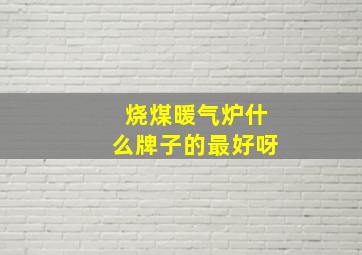 烧煤暖气炉什么牌子的最好呀