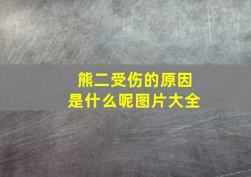 熊二受伤的原因是什么呢图片大全