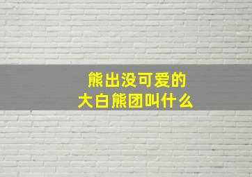 熊出没可爱的大白熊团叫什么