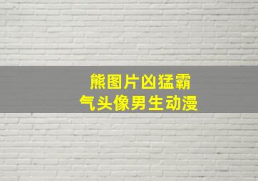 熊图片凶猛霸气头像男生动漫