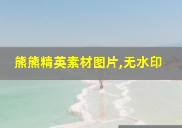 熊熊精英素材图片,无水印