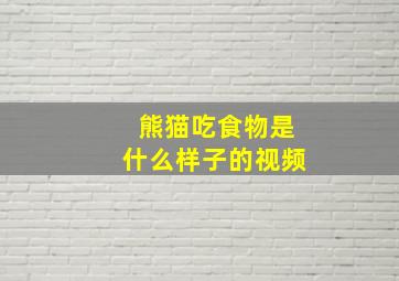 熊猫吃食物是什么样子的视频