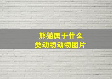 熊猫属于什么类动物动物图片