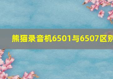 熊猫录音机6501与6507区别