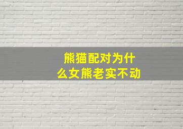 熊猫配对为什么女熊老实不动