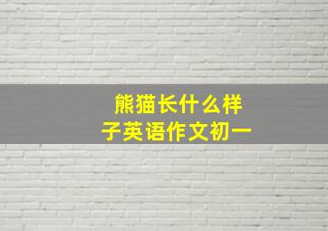 熊猫长什么样子英语作文初一