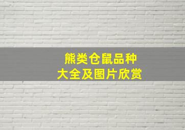 熊类仓鼠品种大全及图片欣赏