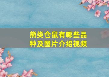 熊类仓鼠有哪些品种及图片介绍视频