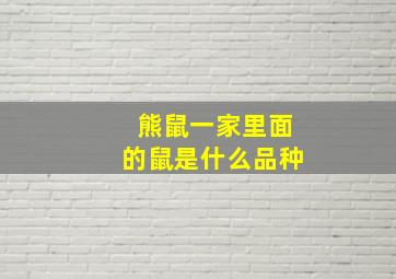 熊鼠一家里面的鼠是什么品种