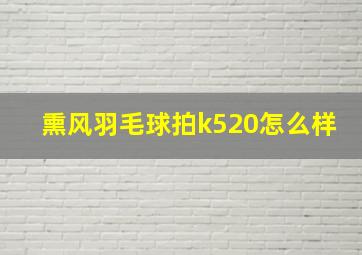 熏风羽毛球拍k520怎么样