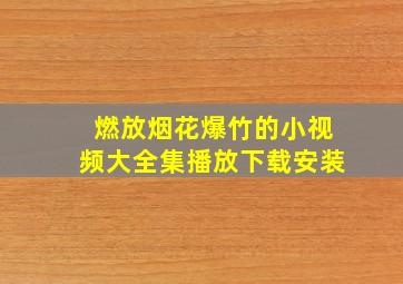 燃放烟花爆竹的小视频大全集播放下载安装