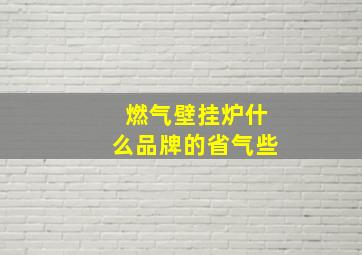 燃气壁挂炉什么品牌的省气些