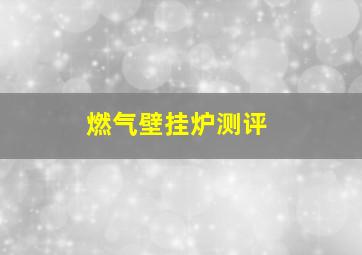 燃气壁挂炉测评