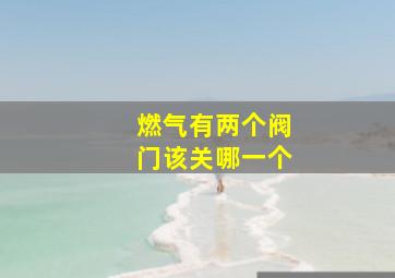 燃气有两个阀门该关哪一个