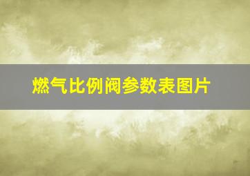 燃气比例阀参数表图片