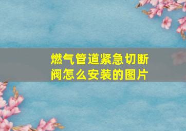 燃气管道紧急切断阀怎么安装的图片