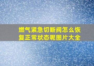 燃气紧急切断阀怎么恢复正常状态呢图片大全