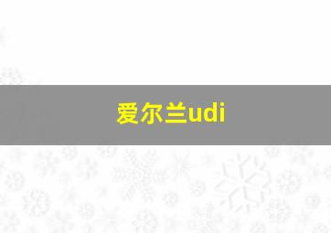 爱尔兰udi