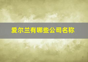 爱尔兰有哪些公司名称