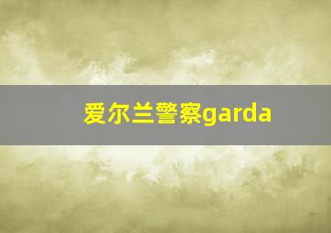 爱尔兰警察garda