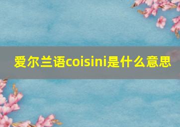 爱尔兰语coisini是什么意思