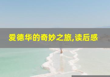 爱德华的奇妙之旅,读后感