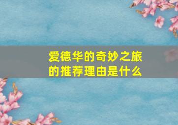 爱德华的奇妙之旅的推荐理由是什么