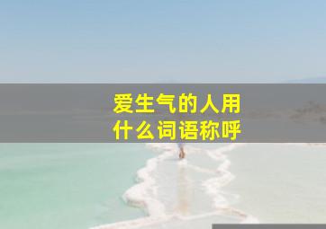 爱生气的人用什么词语称呼