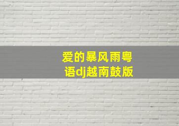 爱的暴风雨粤语dj越南鼓版