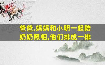 爸爸,妈妈和小明一起陪奶奶照相,他们排成一排