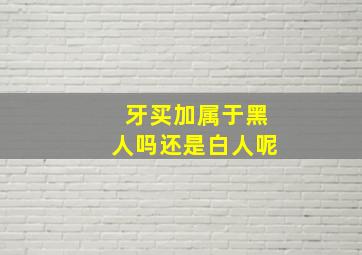 牙买加属于黑人吗还是白人呢