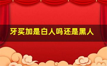 牙买加是白人吗还是黑人