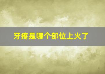 牙疼是哪个部位上火了