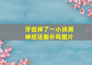 牙齿掉了一小块漏神经还能补吗图片