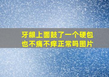 牙龈上面鼓了一个硬包也不痛不痒正常吗图片