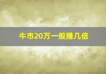 牛市20万一般赚几倍